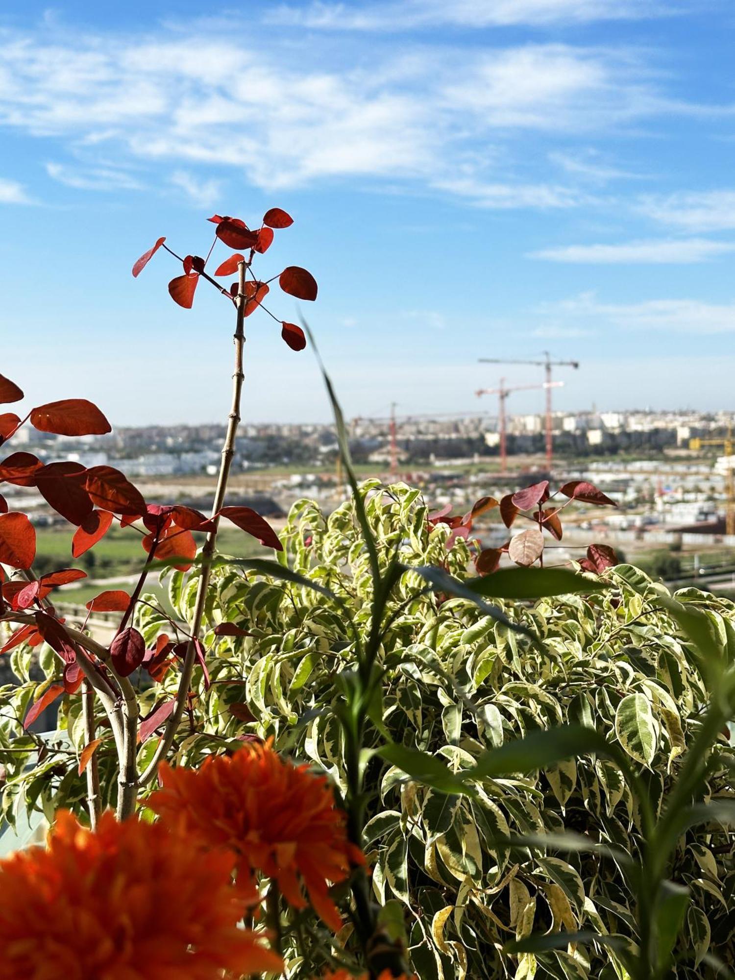 Anfa Louise Apartment Casablanca Luaran gambar